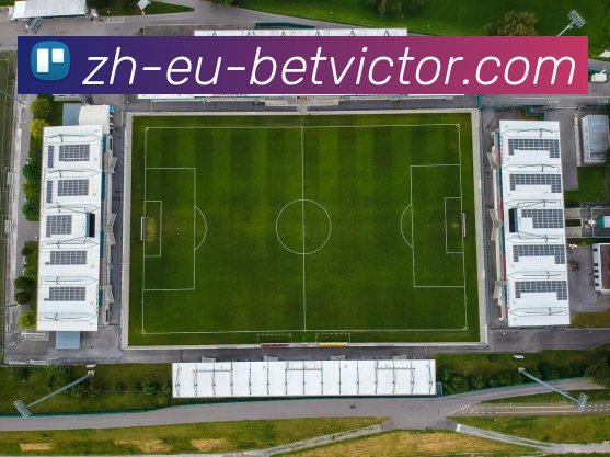 必威体育官网平台生态图